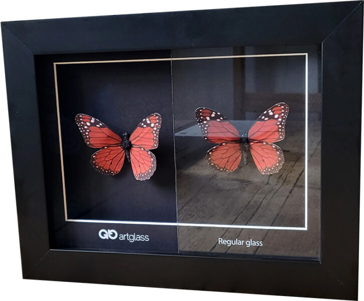 Two butterflies side by side in a box frame, one half covered by float glass showing colour distortion and reflections, the other covered by AR70 art glass showing true colour and no reflections.
